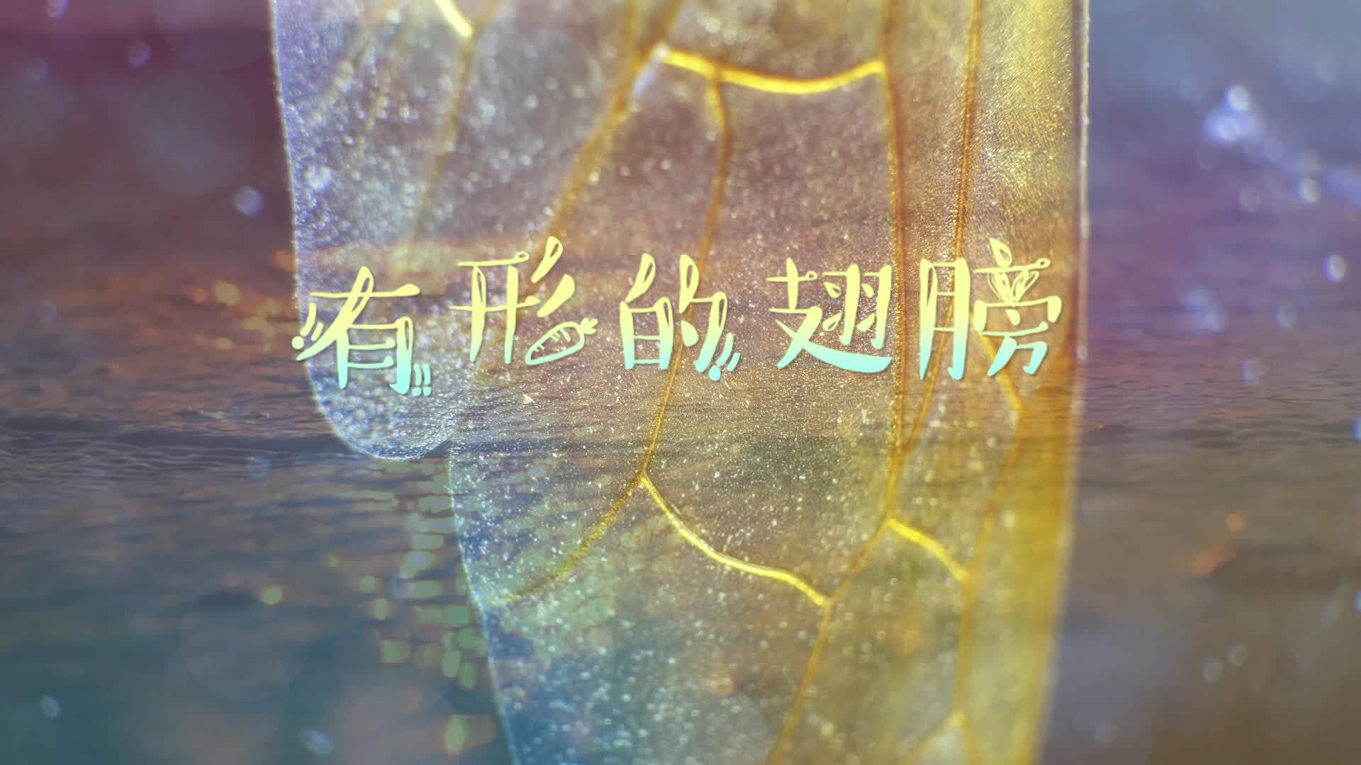 张韶涵歌曲有形的翅膀led视频背景-无词