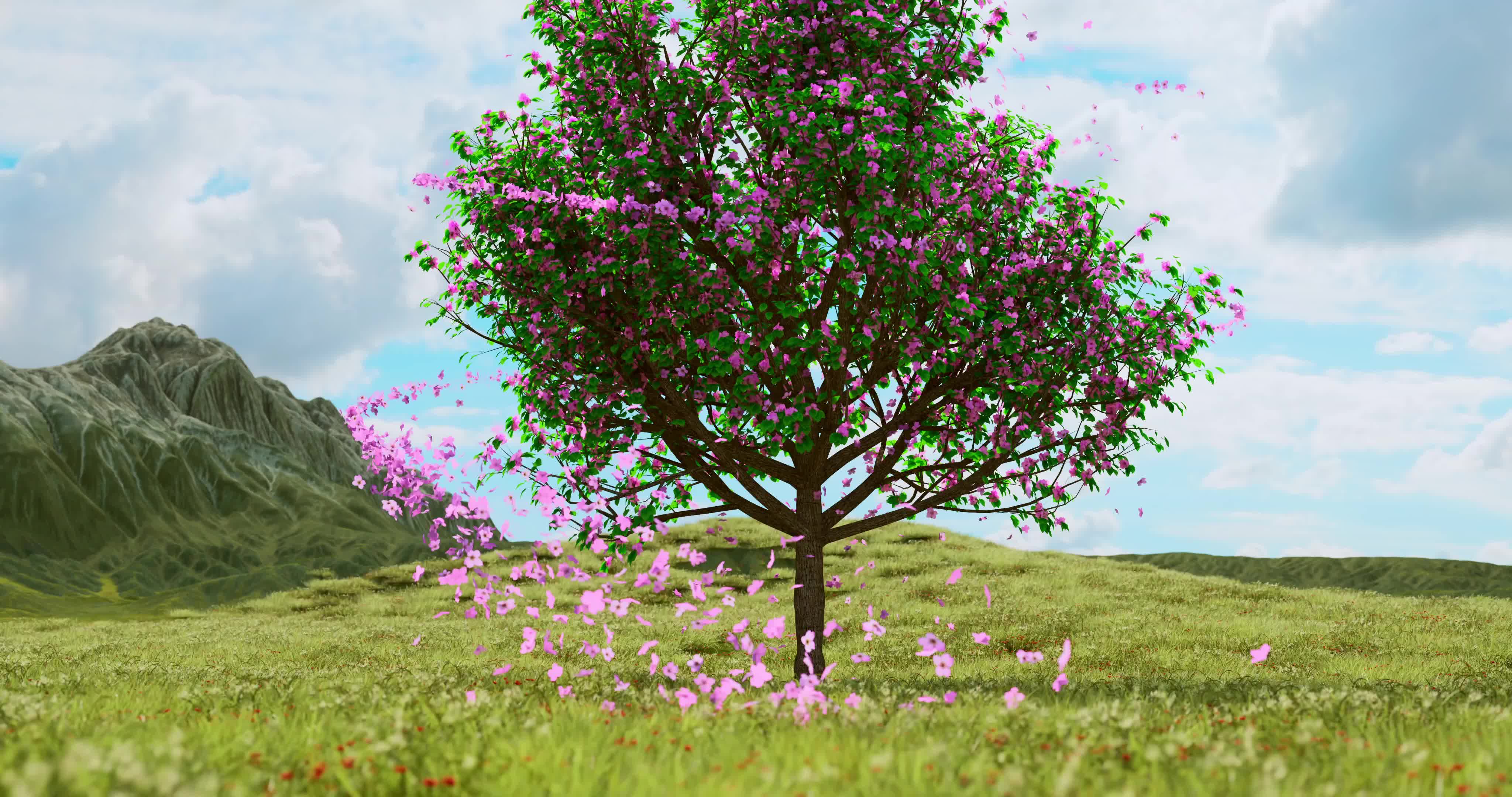 春天桃花盛开美景