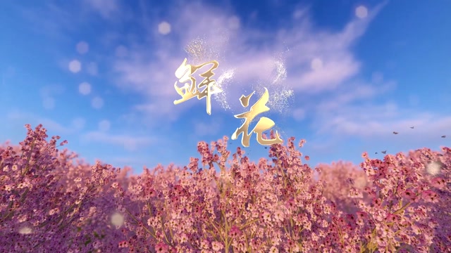 回春丹乐队歌曲鲜花led视频背景-有词
