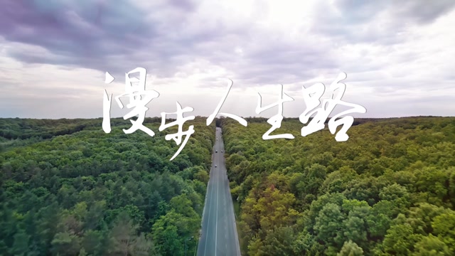 一杯陈豆浆歌曲漫步人生路led视频背景-有词