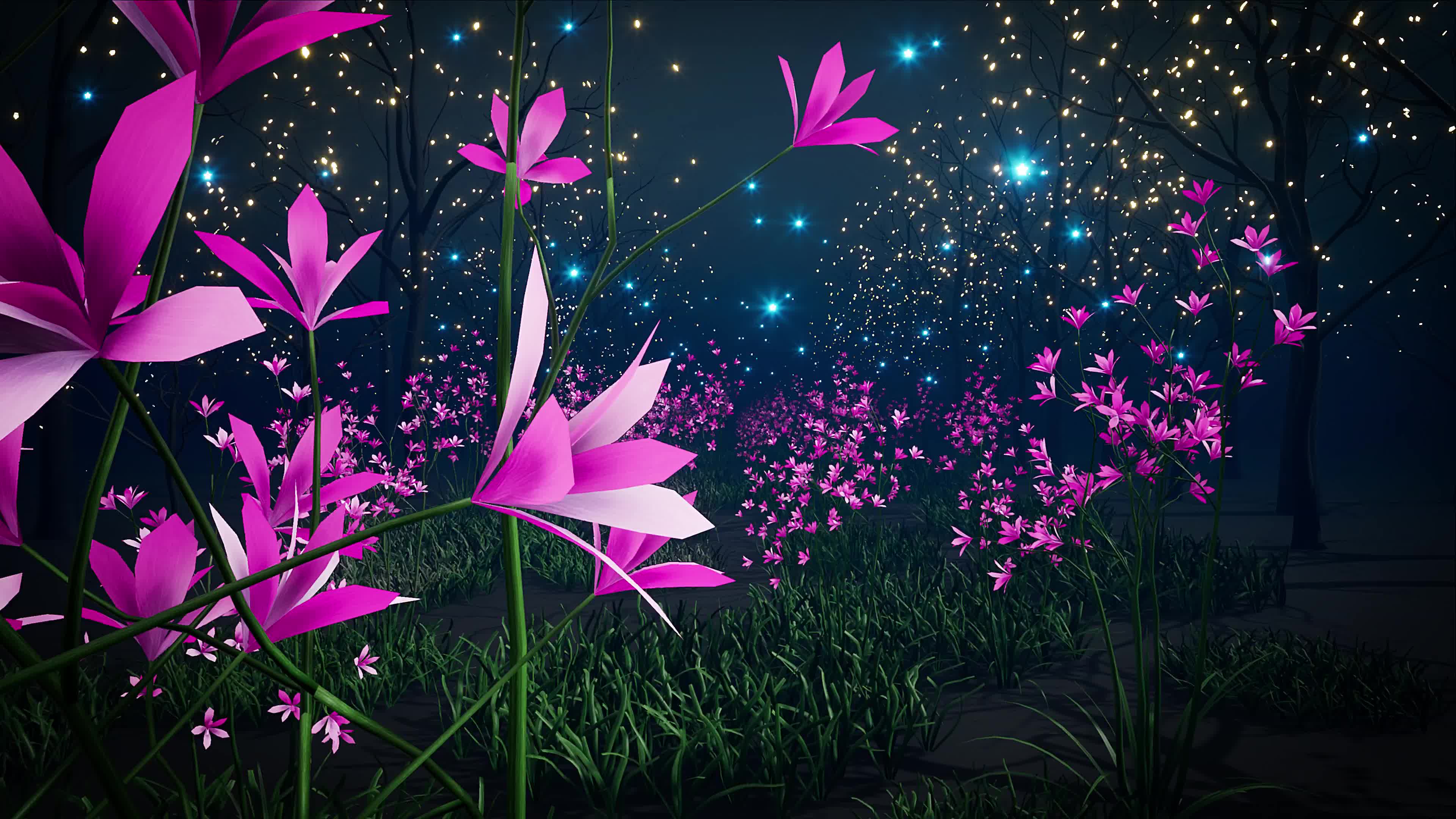 花园夜景