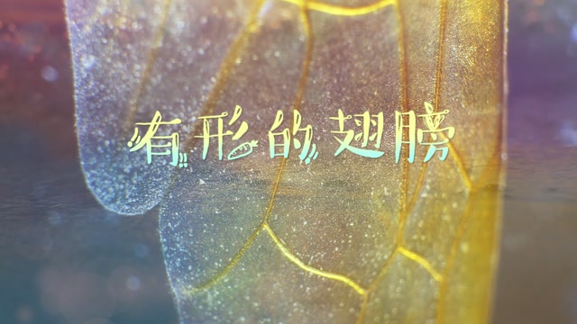张韶涵歌曲有形的翅膀led视频背景-无词