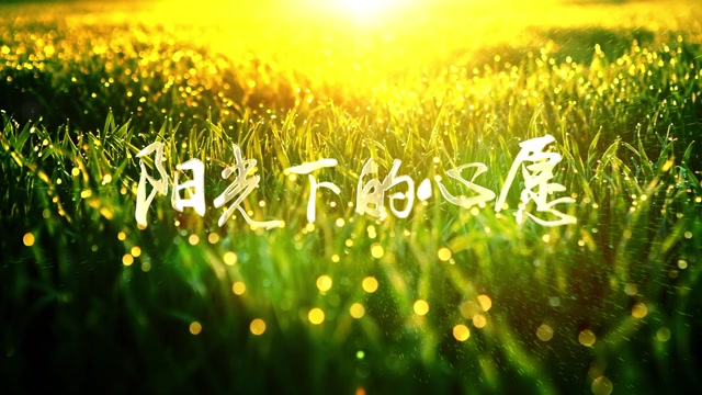阳光下的心愿led视频背景-无词