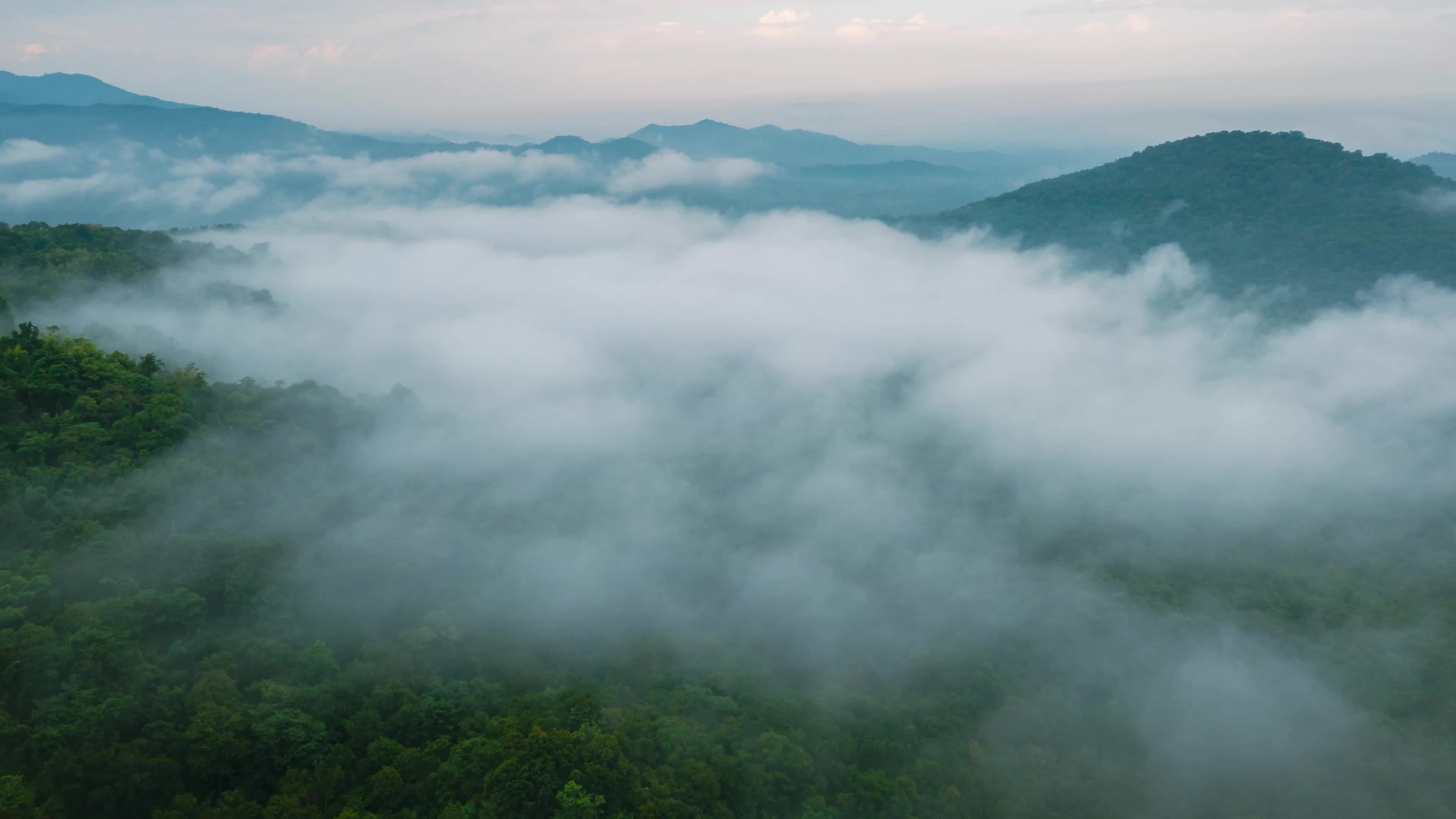 高山森林云雾自然风景