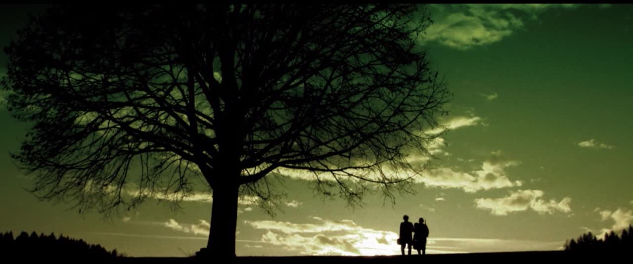 傍晚大树旁两个男人走路
