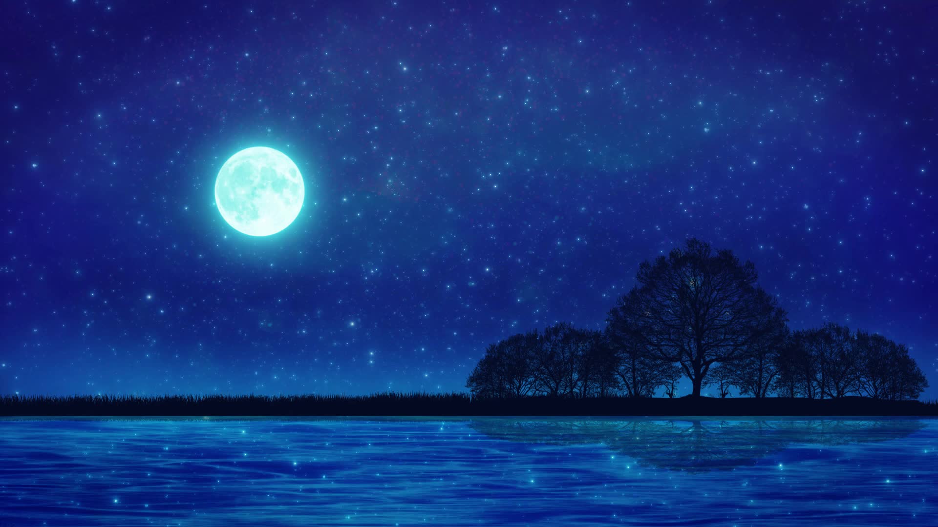 大海夜晚美景