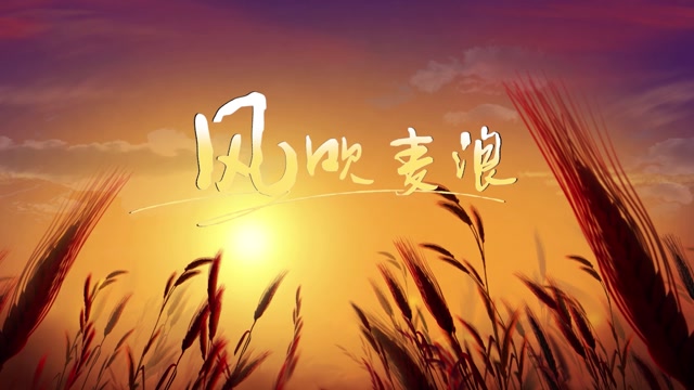叶一茜歌曲风吹麦浪led视频背景-有词