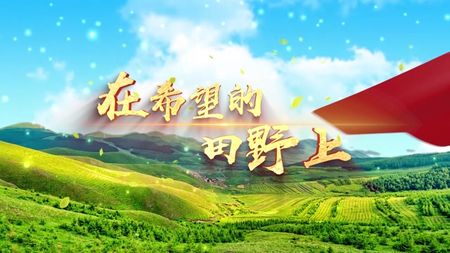 孙楠韩红黄绮珊合唱歌曲在希望的田野上led视频背景-有词