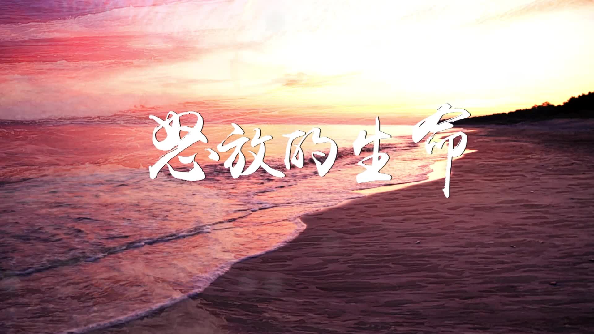 怒放的生命led视频背景-有词伴奏