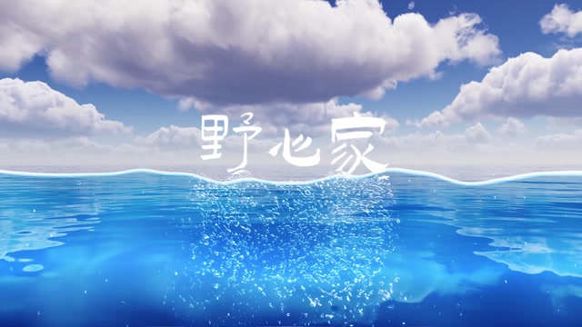 野心家led视频背景-画面无词