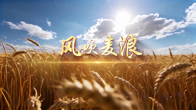 李健歌曲风吹麦浪led视频背景-有词