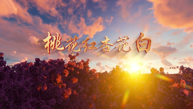 桃花红杏花白led视频背景-有词