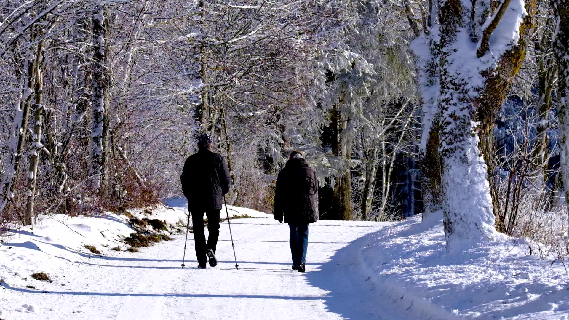 实拍夫妻在雪地里走路