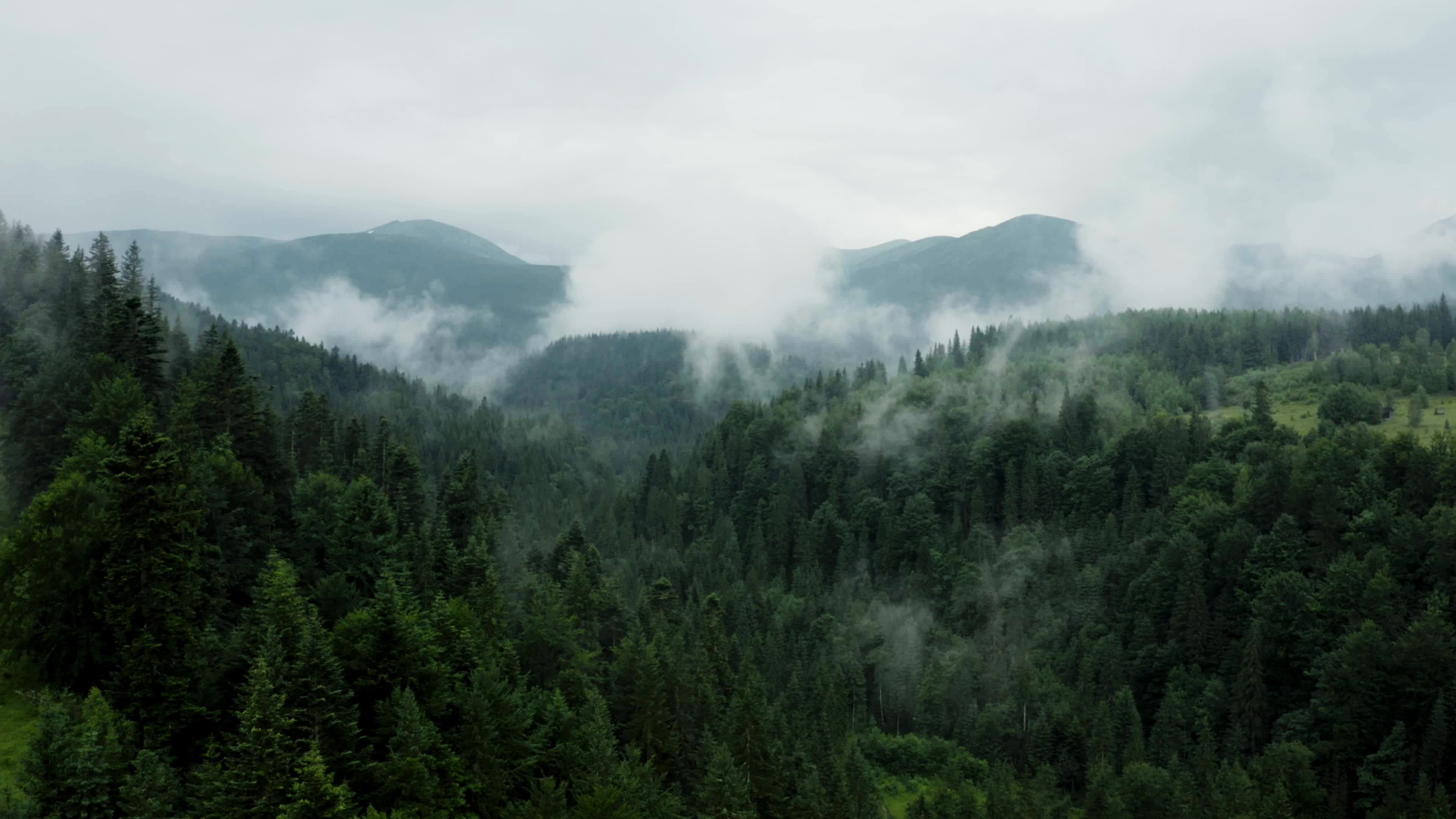 航拍森林云雾