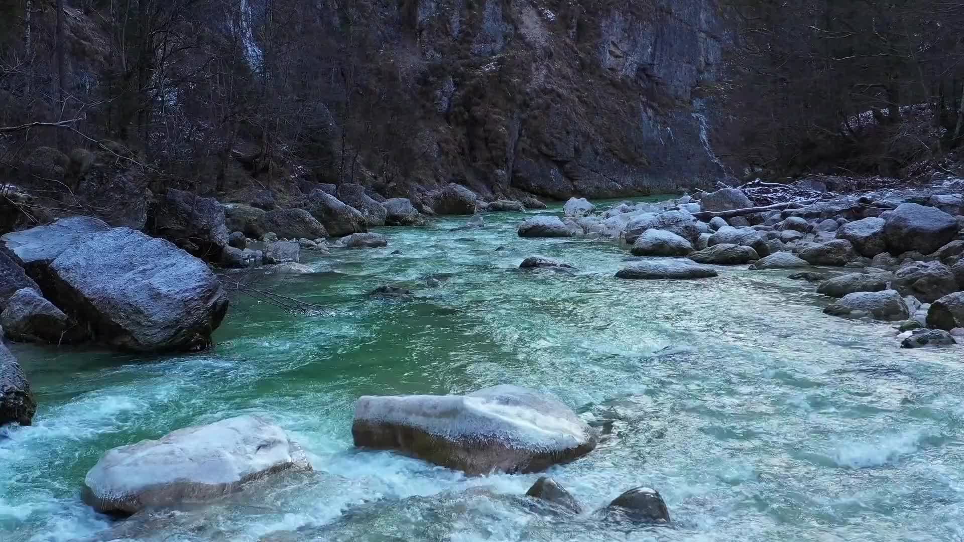 实拍森林小溪河流视频素材