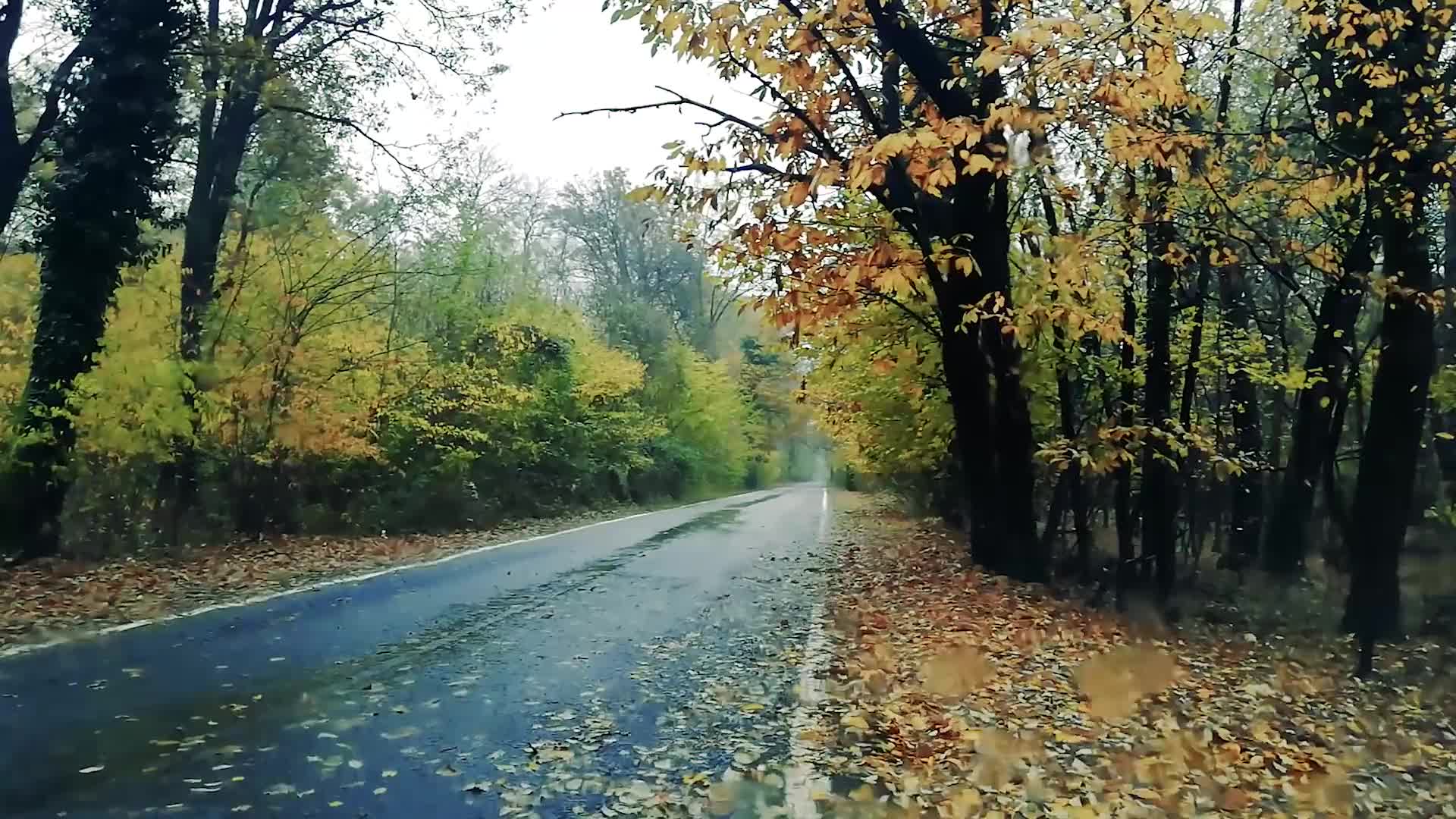 秋天小雨中的小路