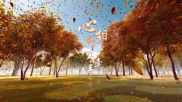 心相印手牵手led视频背景-无词