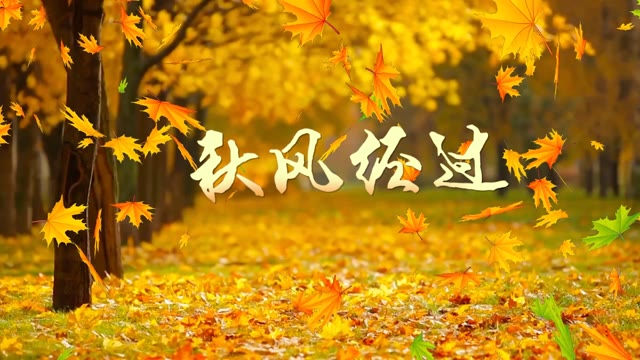 秋风经过张良有词伴奏