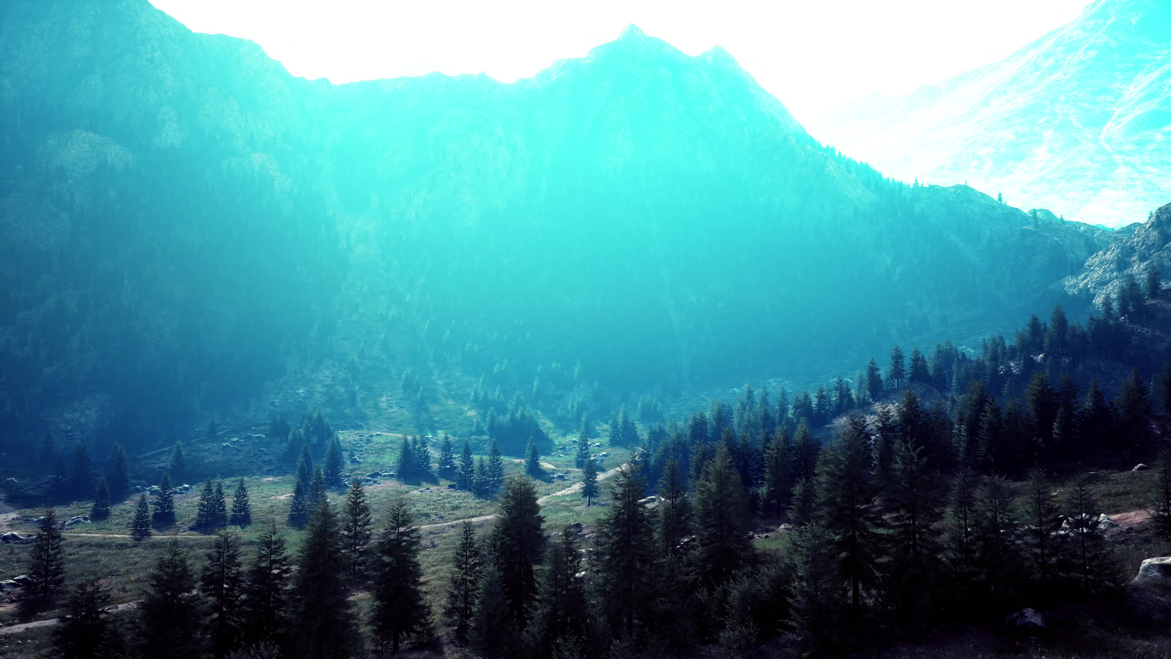 森林高山大自然风景