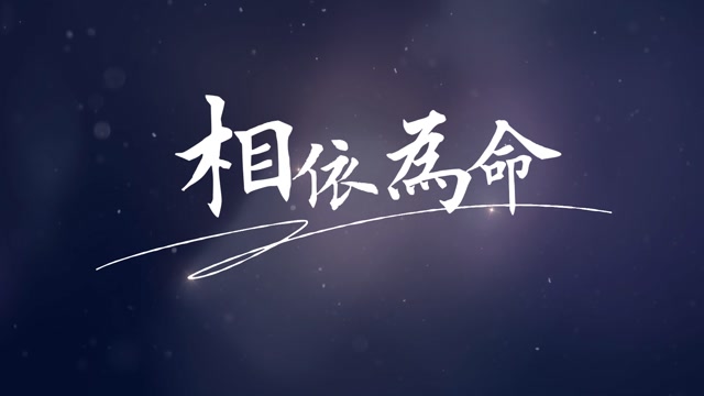 歌曲相依为命led视频背景-无词