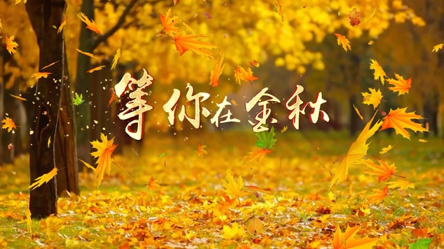 等你在金秋led视频背景-有词
