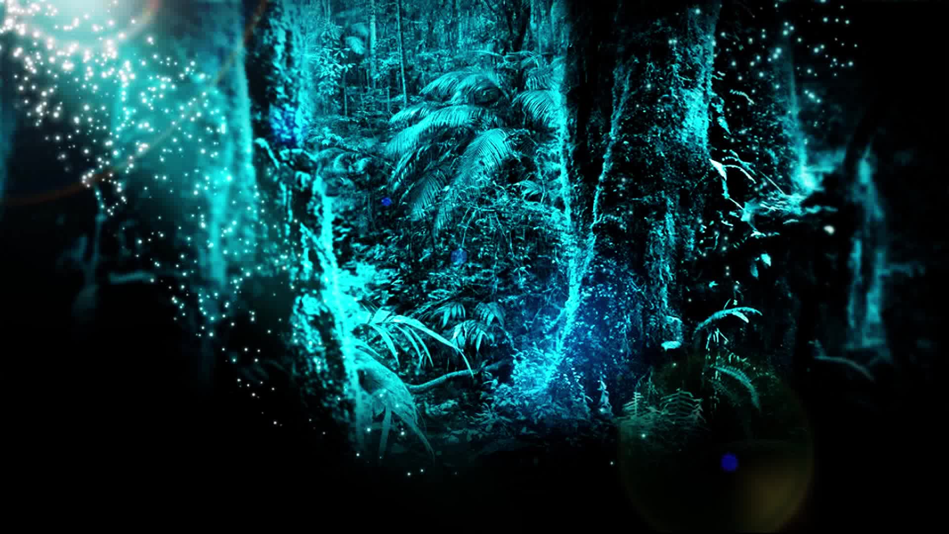 梦幻森林led视频背景素材