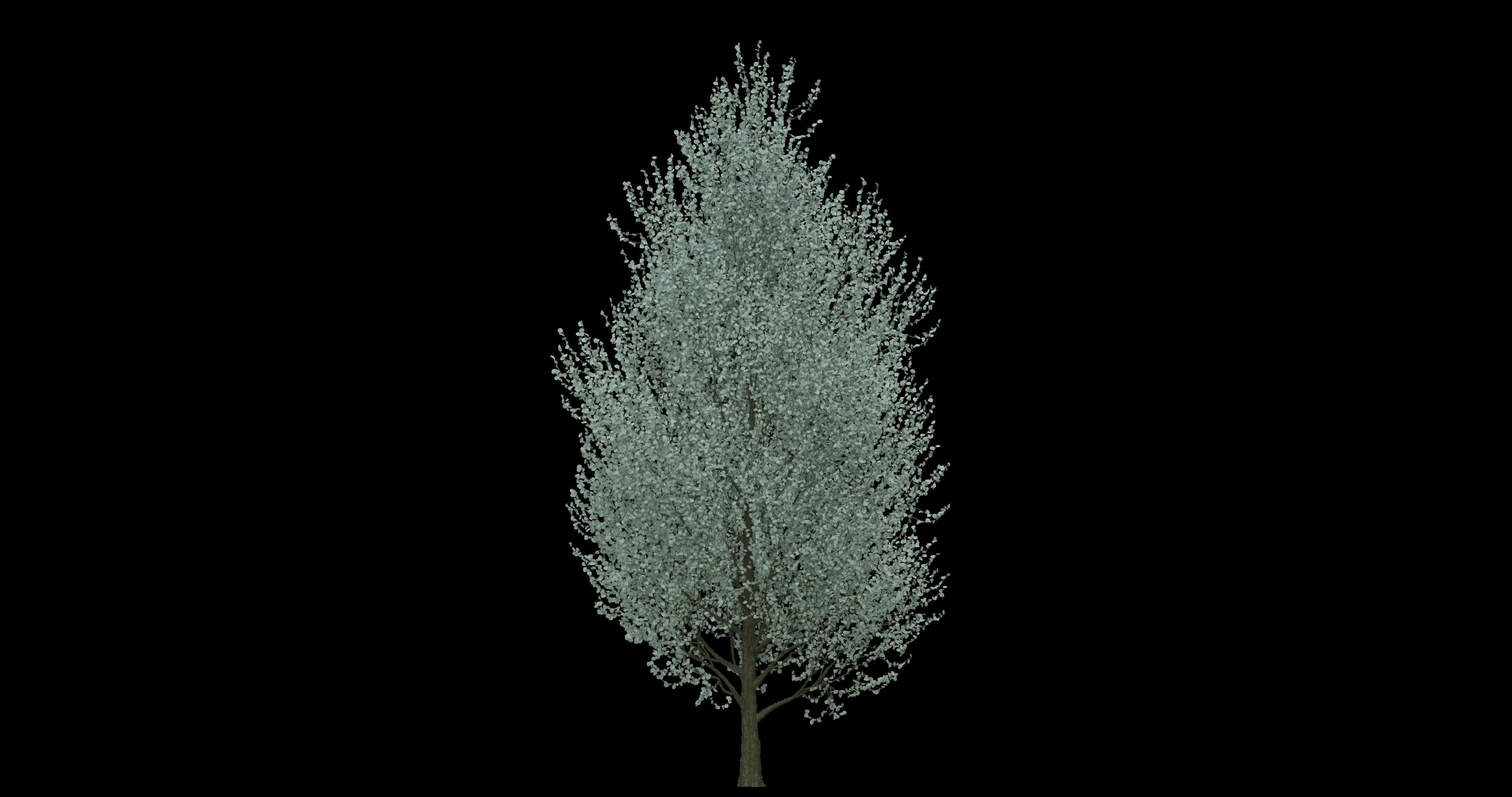 透明大树动画素材