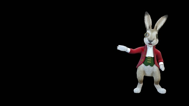 兔子动画视频素材