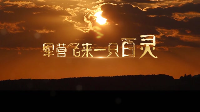 歌曲军营飞来一只百灵led视频背景-无词