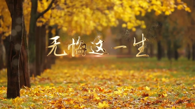 歌曲无悔这一生led视频背景-无词