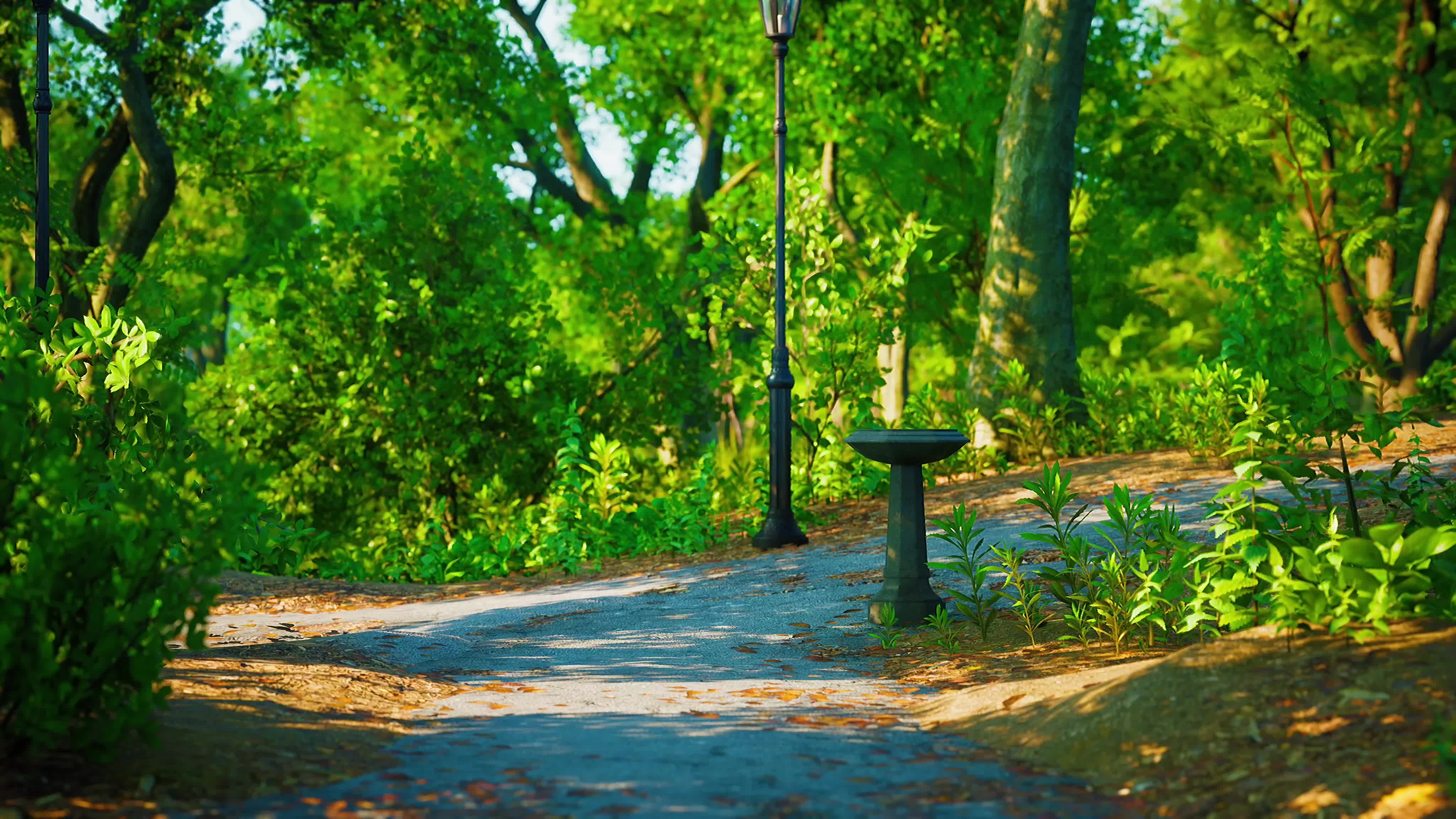 公园小路美景