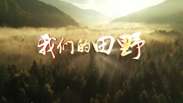 儿歌我们的田野led视频背景-无词