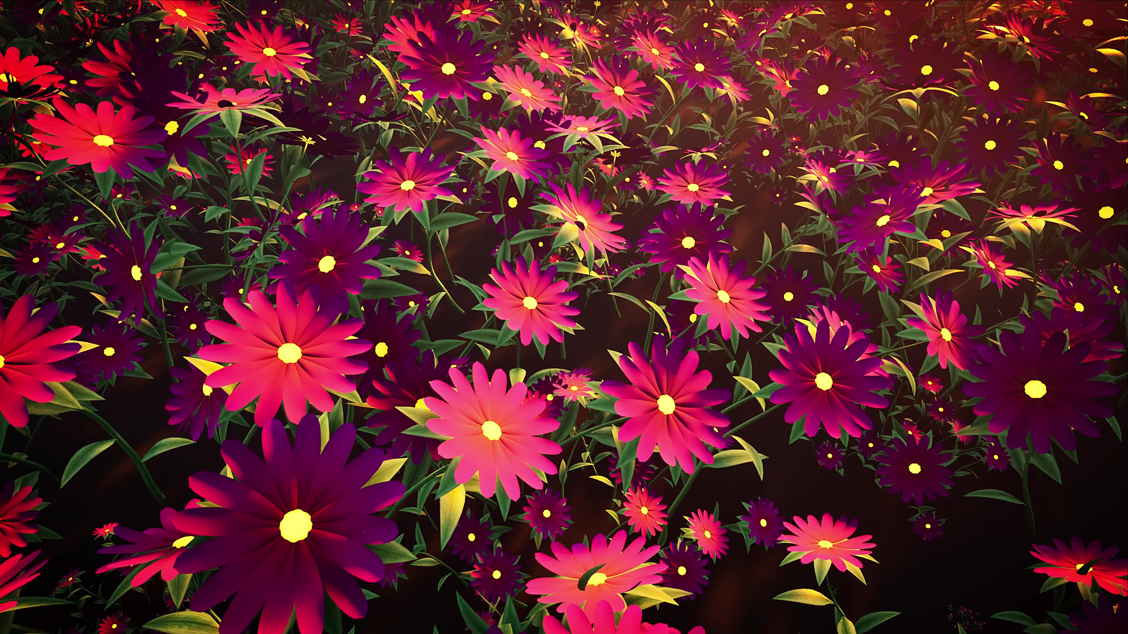 花朵动画背景