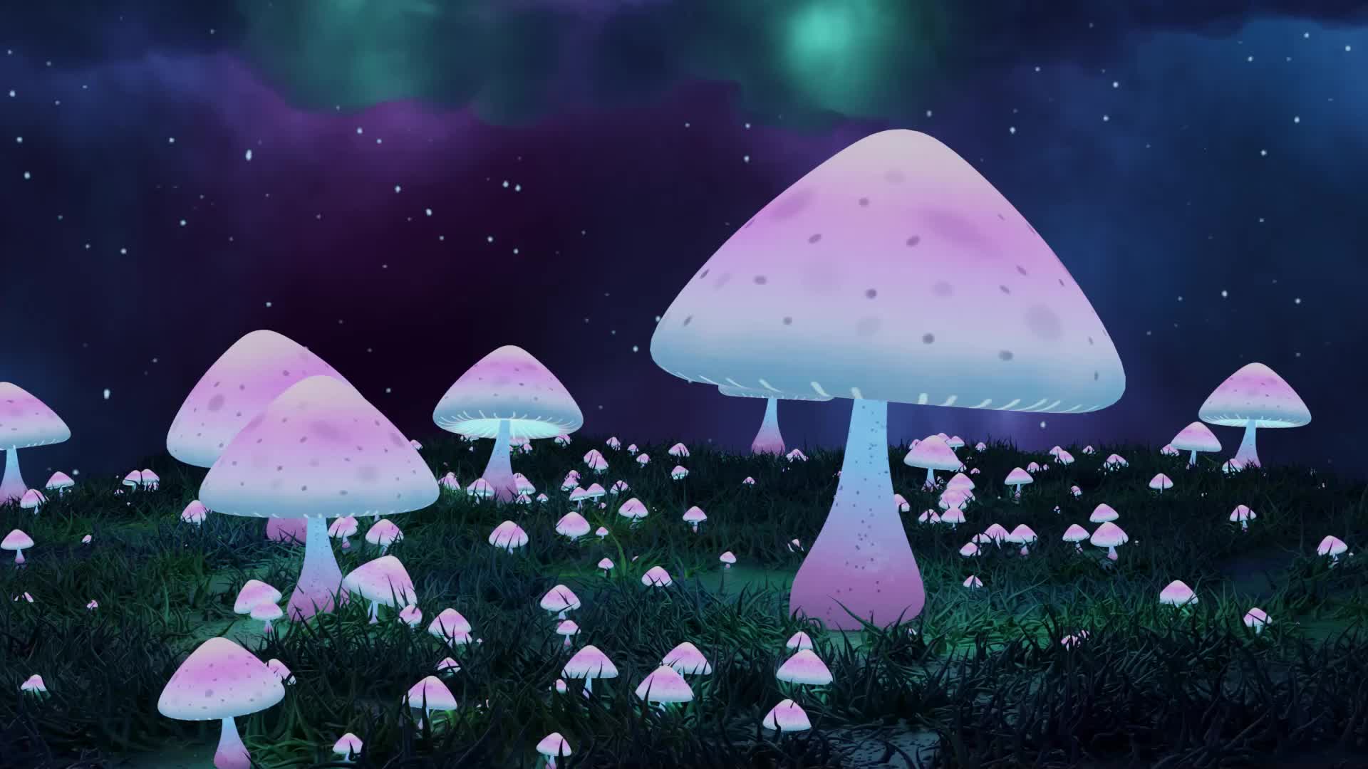 蘑菇美景
