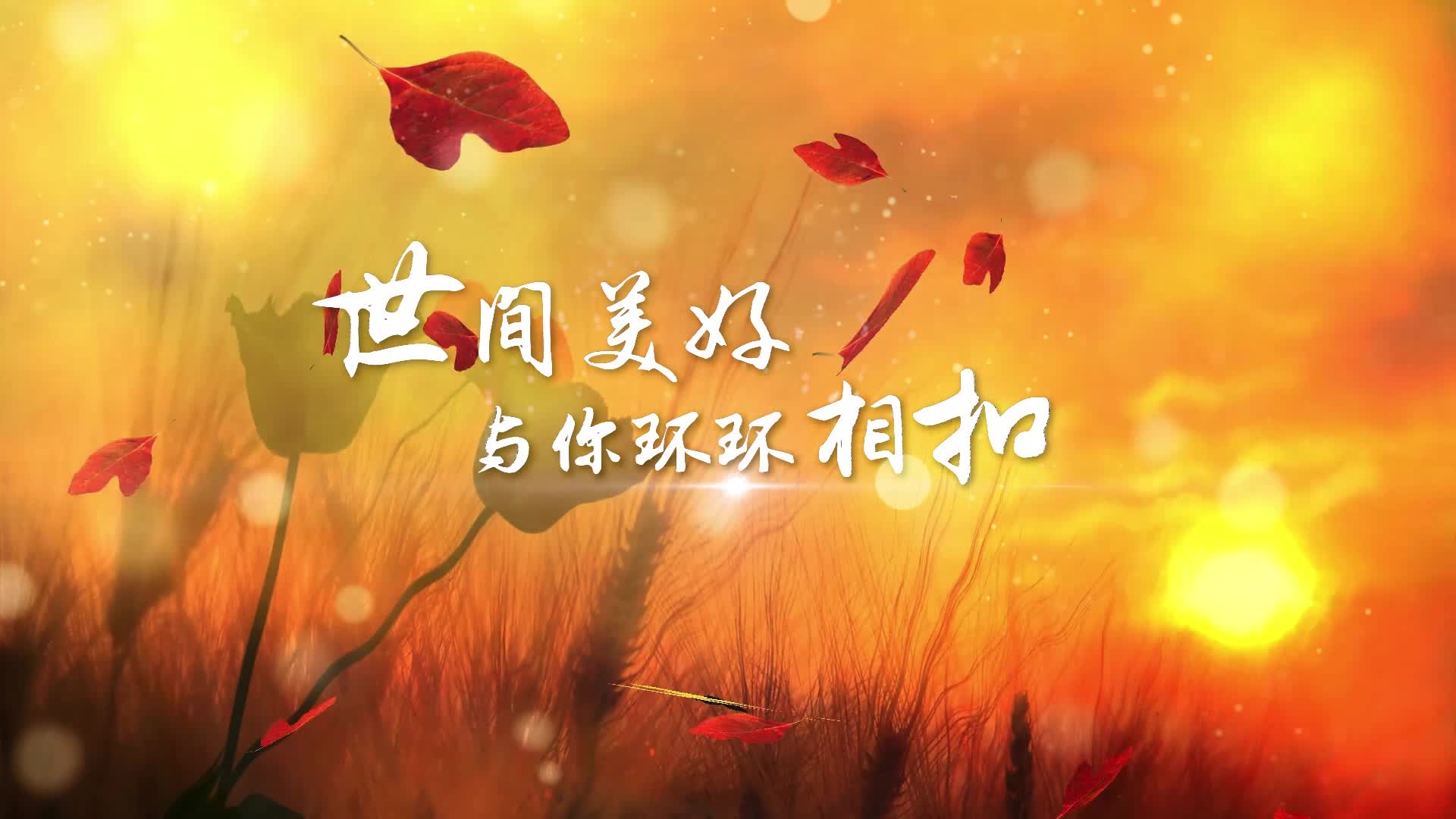 歌曲世间美好与你环环相扣led演出大屏视