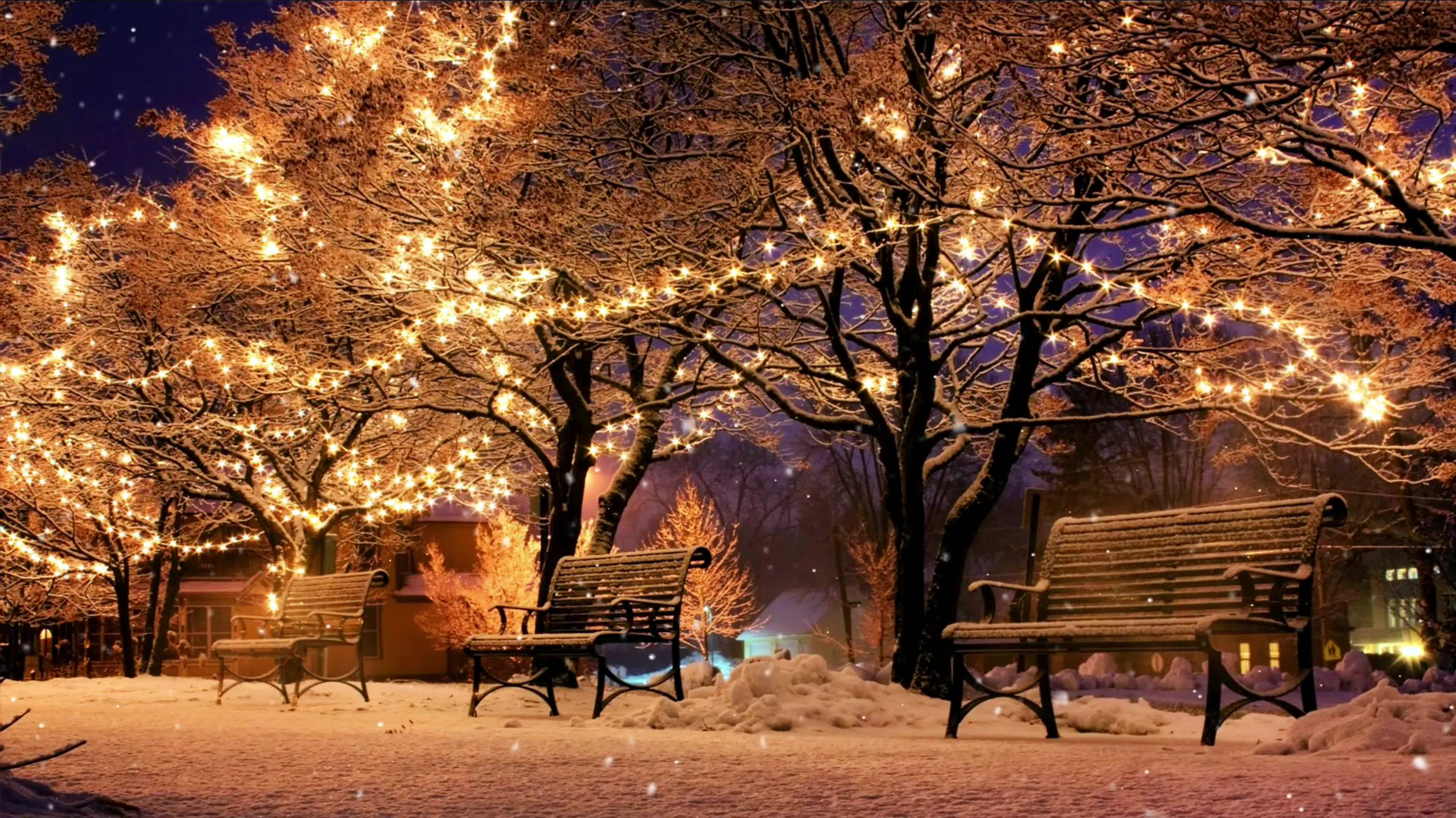 实拍公园冬季夜晚雪景