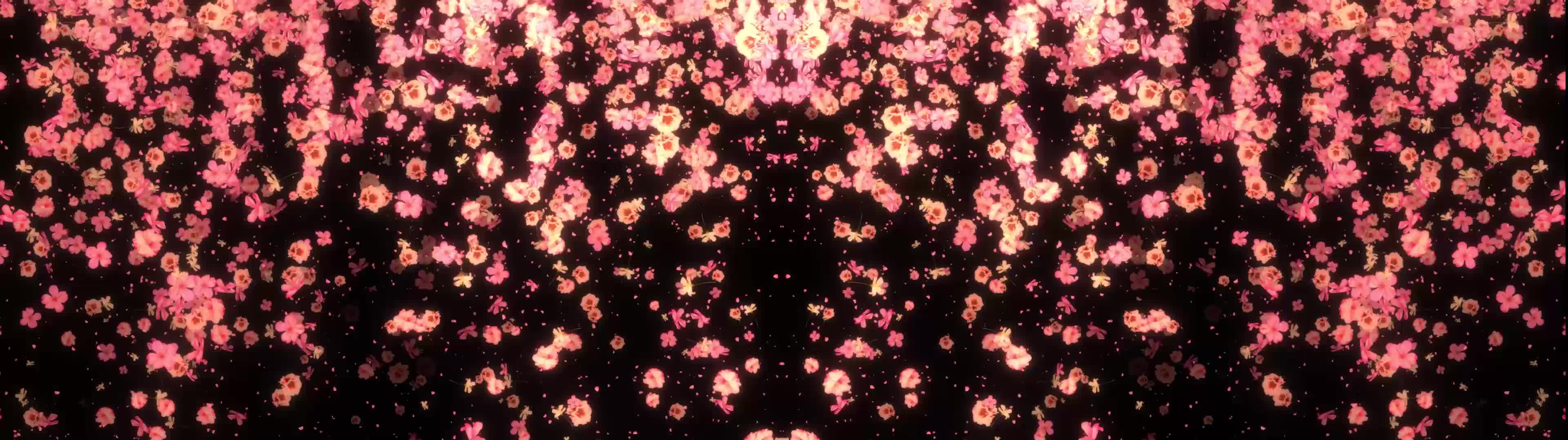 花朵飘落动画宽屏led视频背景