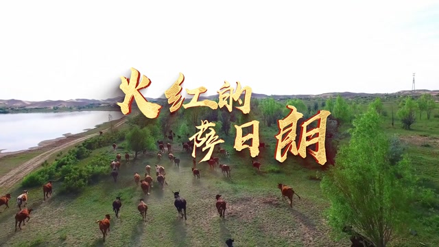 乌兰托娅歌曲火红的萨日朗led视频背景-有词