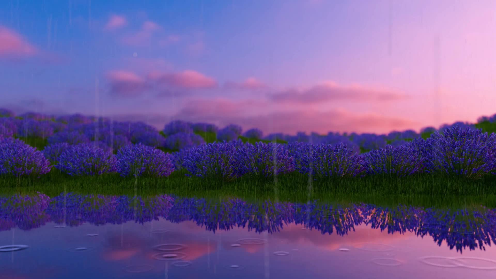 湖边美景