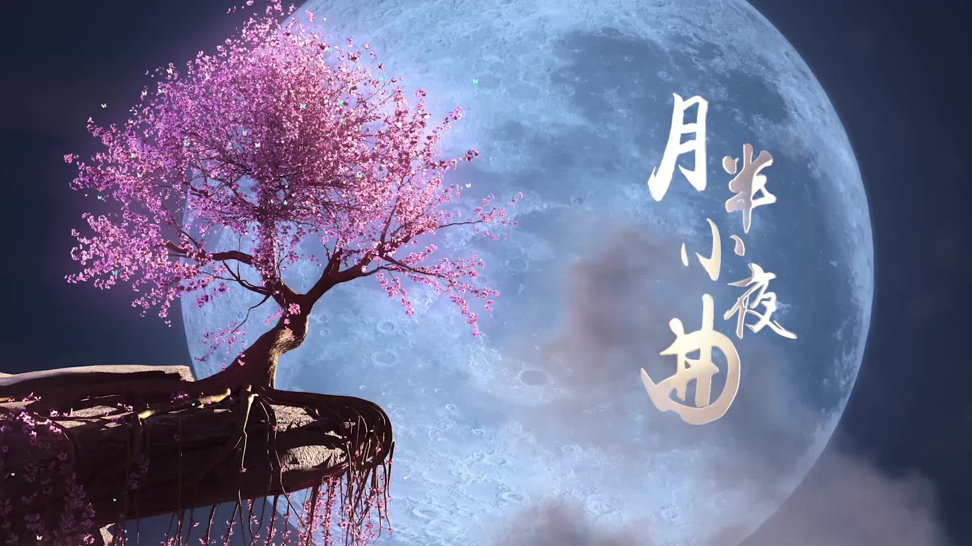 李克勤歌曲月半小夜曲led视频背景-有词