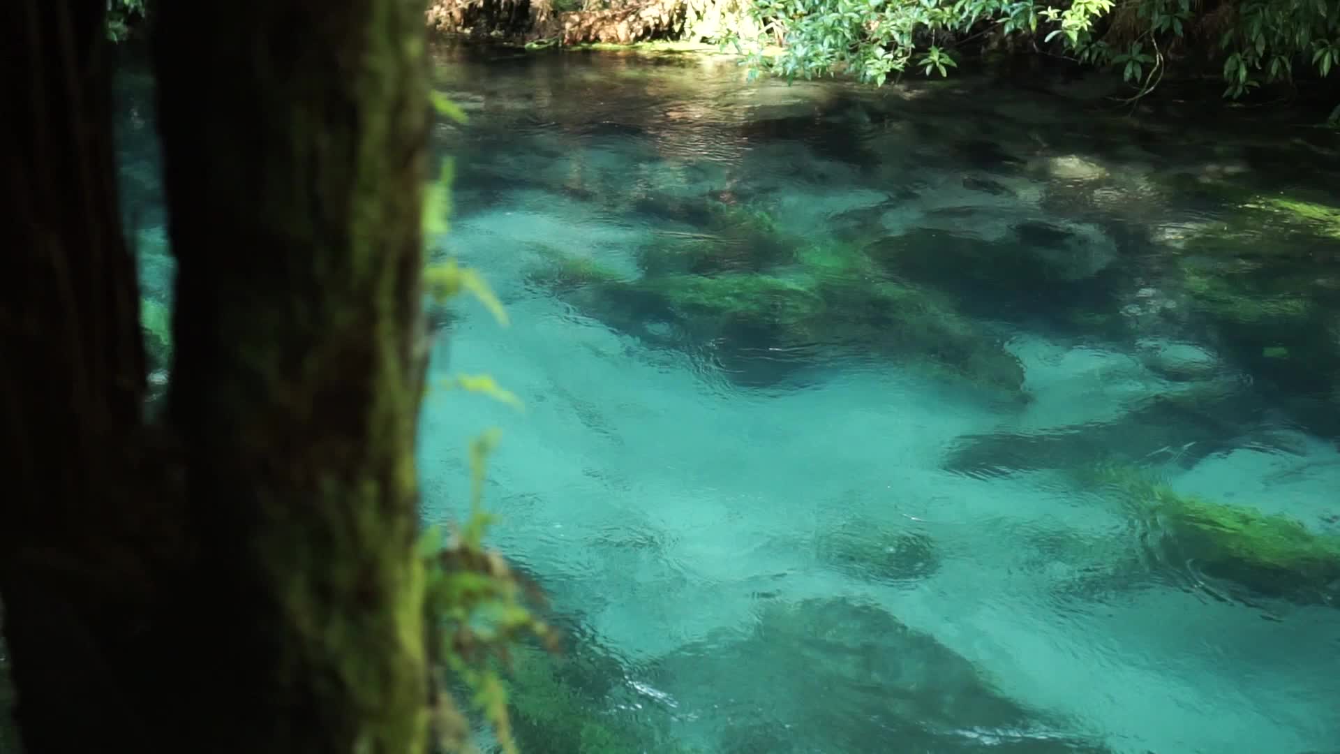 小河流水
