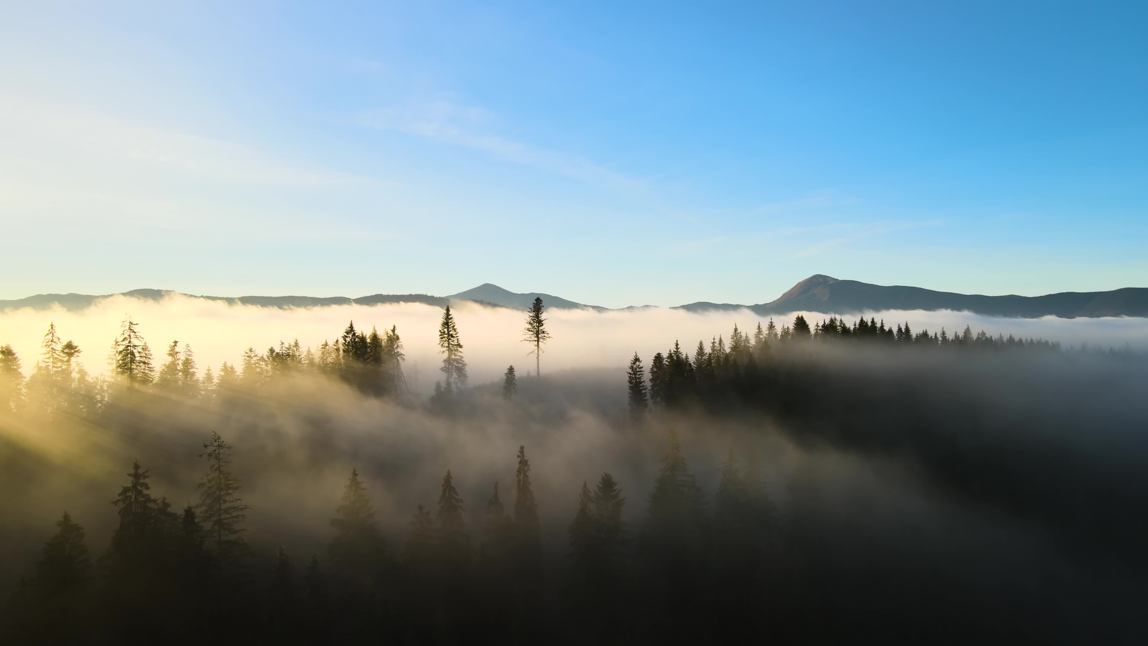 高山云雾自然风景