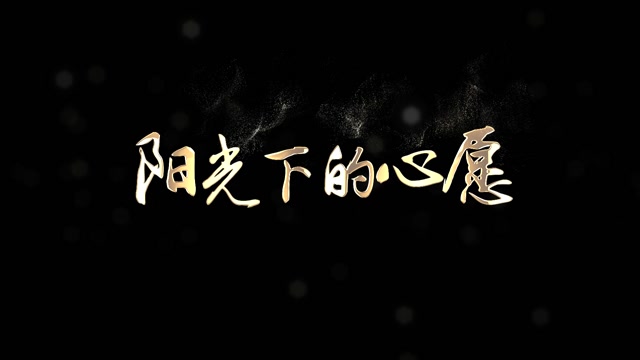 阳光下的心愿歌词