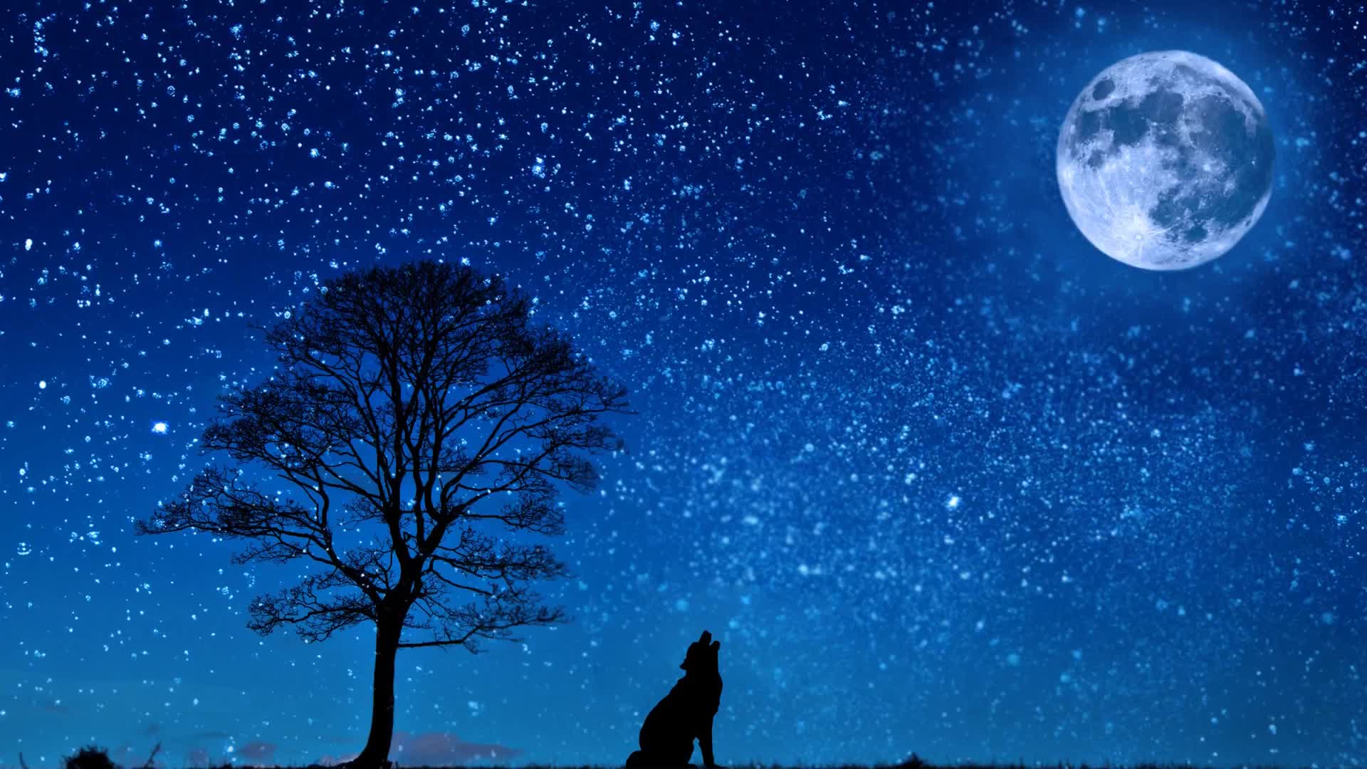 狼对着月亮叫