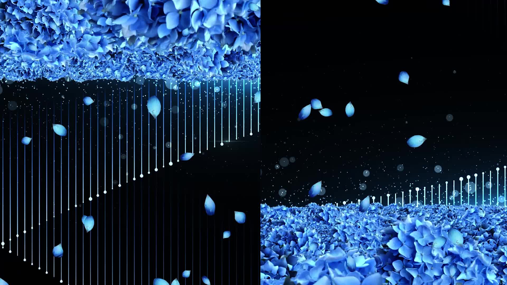 至少还有你led视频背景-无词