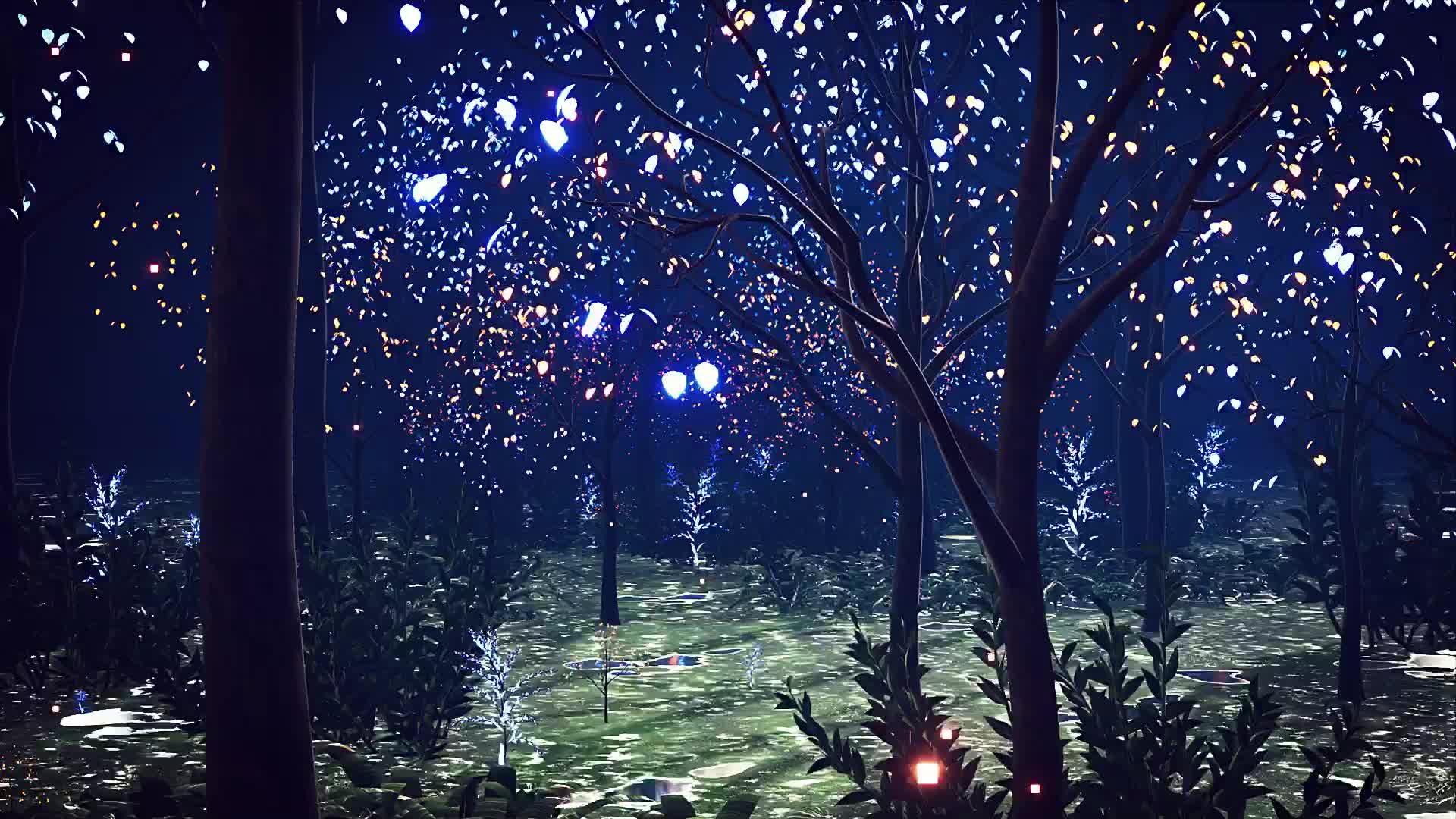 森林夜景