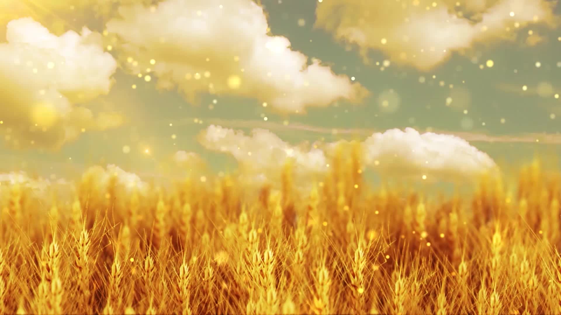 周杰伦歌曲稻香led视频背景-有词