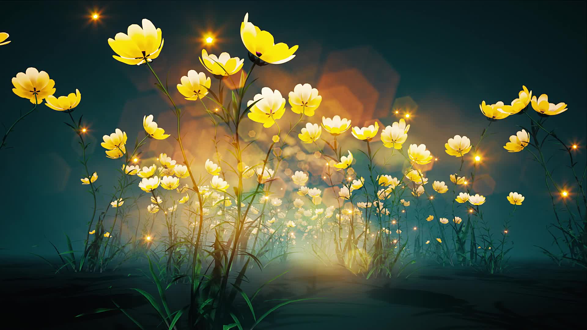 黄色花朵盛开夜晚美景
