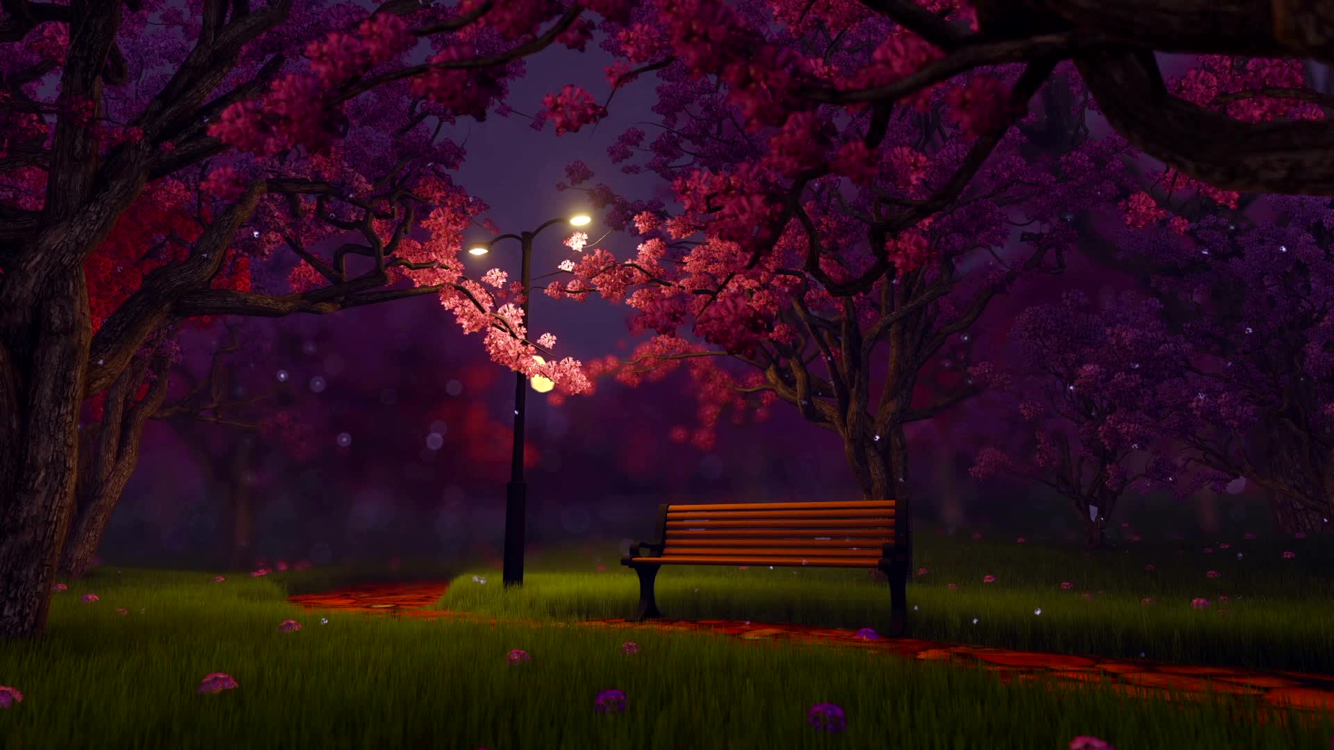 公园夜晚美景
