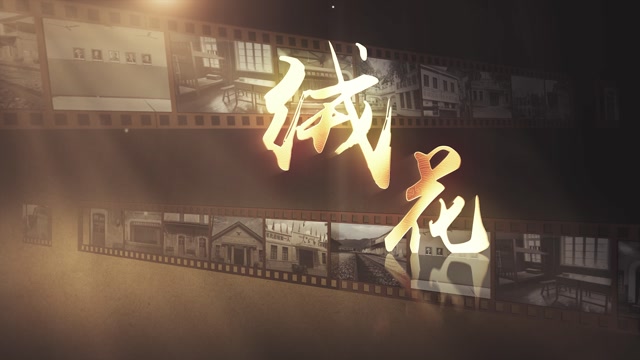 绒花led视频背景